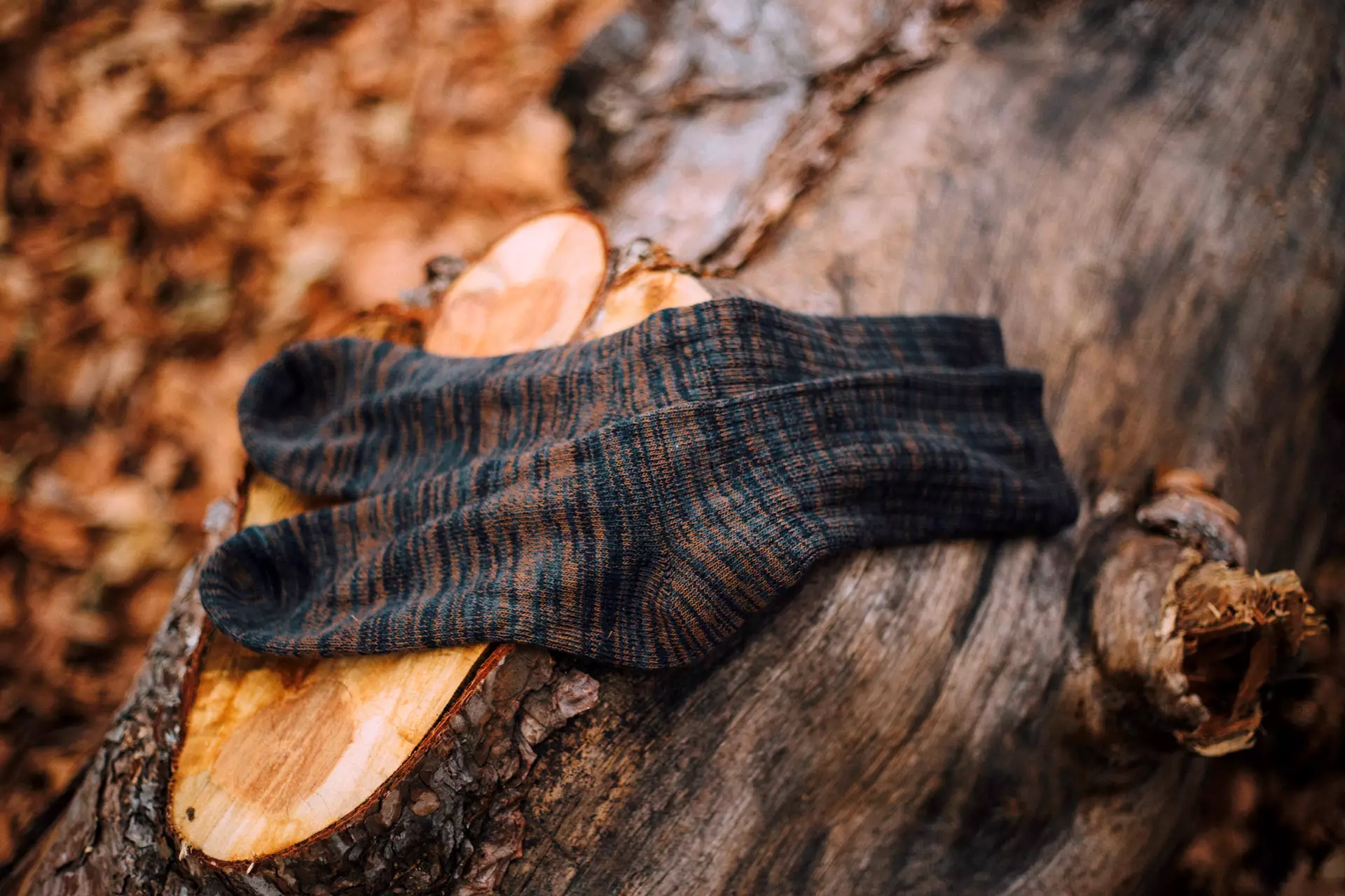 Pal Street Socks Fotoğraf Çekimleri