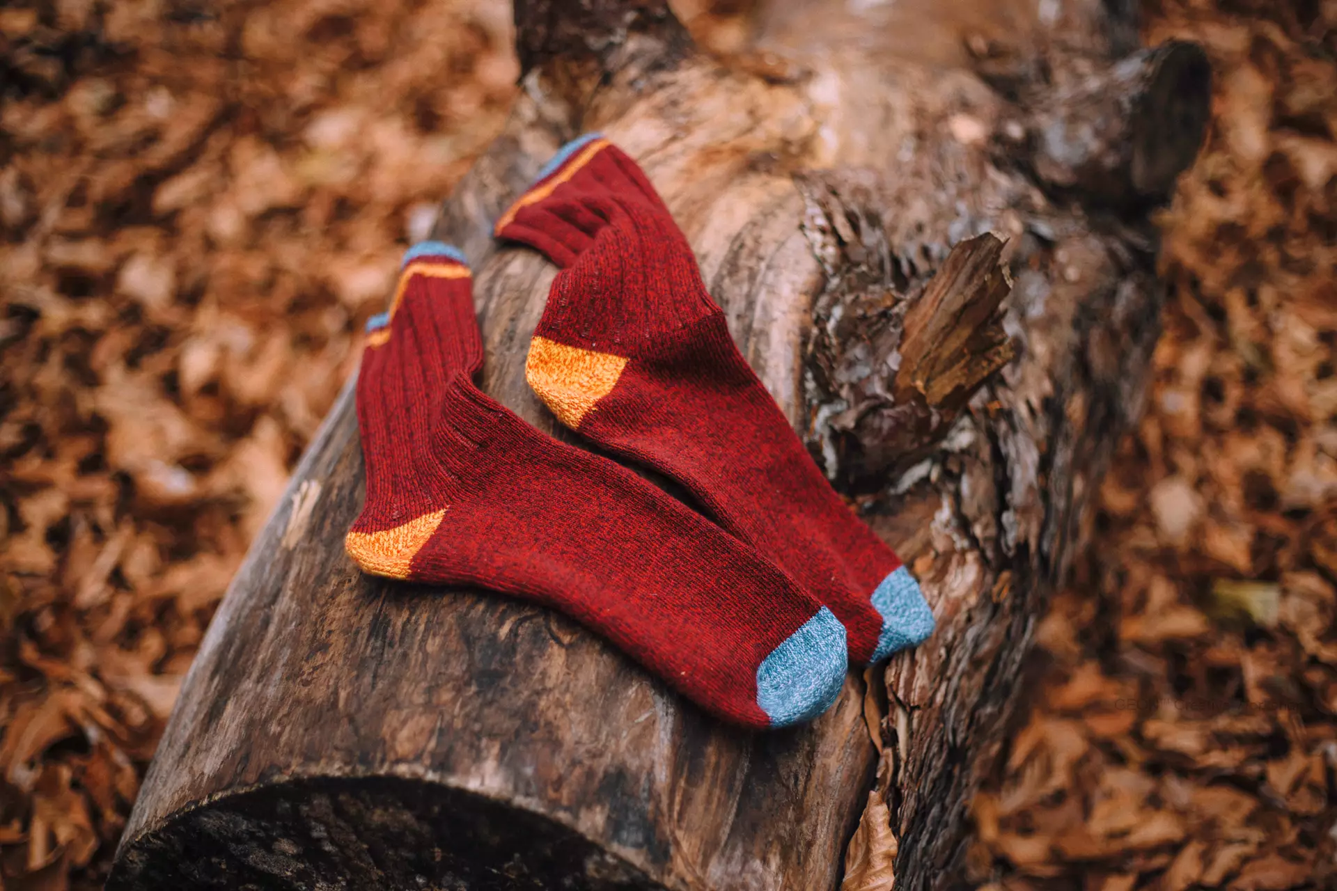 Pal Street Socks Fotoğraf Çekimleri