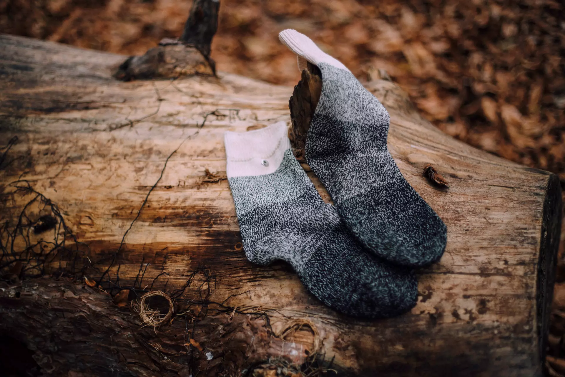 Pal Street Socks Fotoğraf Çekimleri